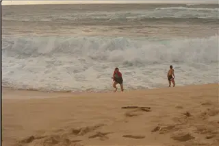 small_9400 0647 family, hi, flowersIMG0060.webp